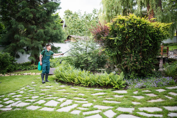 Artificial Turf Installation in Stone Ridge, VA