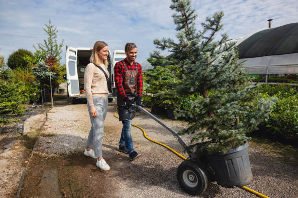 Best Tree Cabling and Bracing  in Stone Ridge, VA